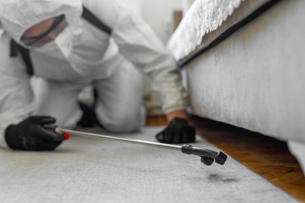 Professional Bed Bug Control technician working in Santaquin, UT