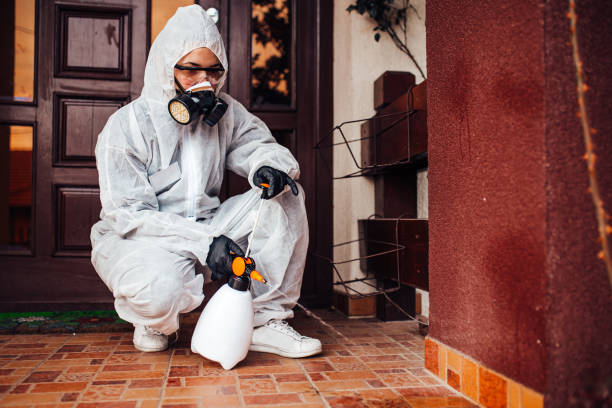 Reliable Bed Bug Control contractor in Santaquin, UT by Nex Pest Control